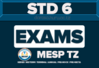 STANDARD SIX CONTINUOUS ASSESSMENT 2026 SERIES 2 BY MESP TANZANIA