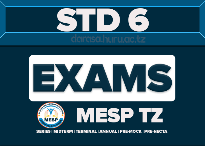 STANDARD SIX CONTINUOUS ASSESSMENT 2026 SERIES 2 BY MESP TANZANIA