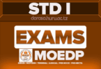 Standard One MOEDP New Assessment Series August 2026