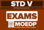 Standard Five MOEDP Free Assessment Series August 2026