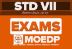 Standard Seven MOEDP Free Pre-PLSE Assessment Series 7 August 2026