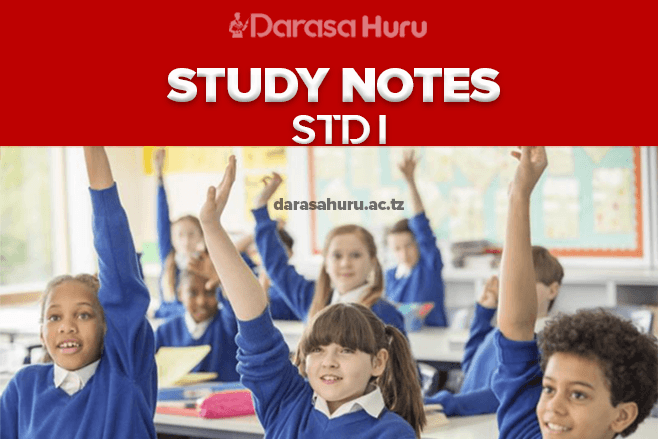 STANDARD ONE NOTES - ALL SUBJECTS