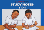 STANDARD TWO NOTES - ALL SUBJECTS